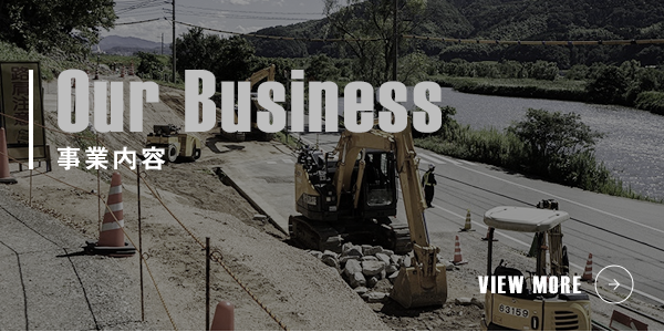 sp_bnr_business